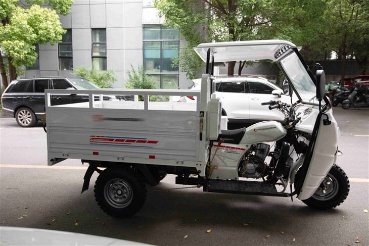 Gasoline Cargo Tricycle high quality