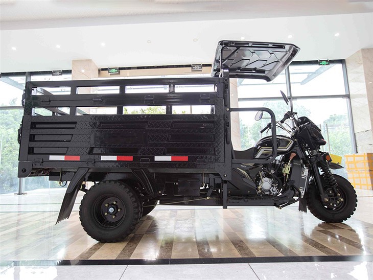 2.Heavy duty cargo trike